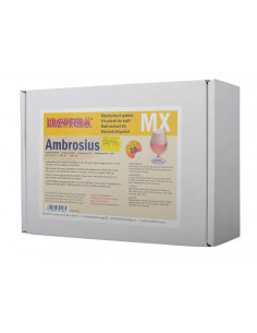 Kit extrait de malt Brewferm AMBROSIUS pour 10 l