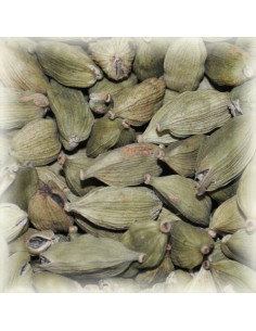 Brasser sa propre bière : Fruits de cardamome 100 gr