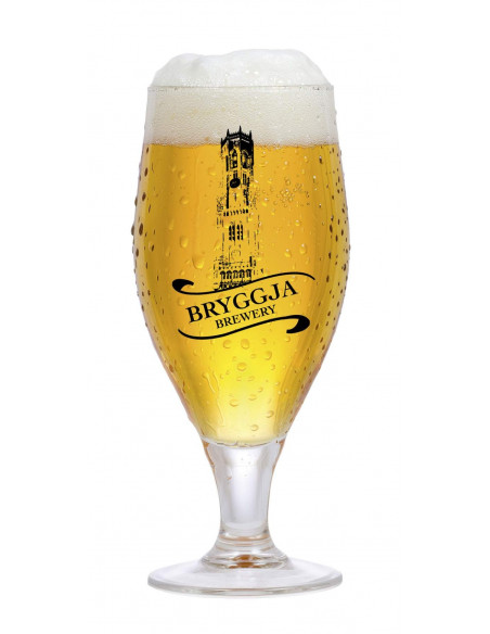 Brasser sa propre bière : Bryggja Tripel - 20L - concassé - 056.013.6G