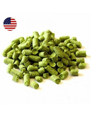 Brasser sa propre bière : Liberty (US) 2021 - LIBERTY-P90