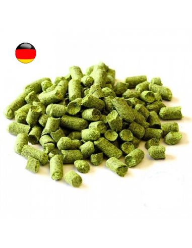 Brasser sa propre bière : Saphir (DE) - SAPHIR-P90 Brasser sa propre bière : Saphir (DE) - SAPHIR-P90