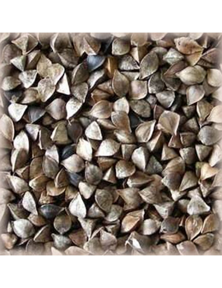 Brasser sa propre bière : Malt Sarrasin (Buckweat) 4-15 EBC - MSARRASS25