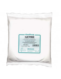 Lactose (sucre de lait) 250 g