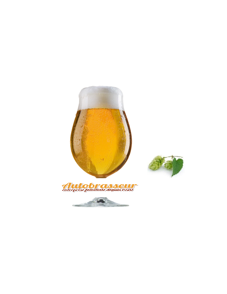 Brasser sa propre bière : Autobrasseur 150 g pour 16 litres de boisson - 150.16.W Brasser sa propre bière : Autobrasseur 150 g pour 16 litres de boisson - 150.16.W