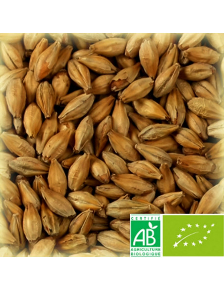 Brasser sa propre bière : Malt château abbaye biologique 45 EBC - 25kg - MA45BIOS25