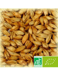 Brasser sa propre bière : Malt Château Cara Blond Biologique 20 EBC - MC20BIOS25