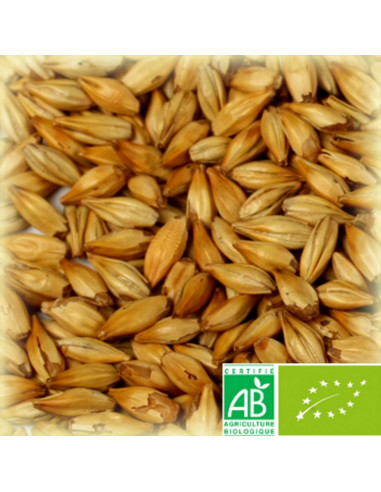 Brasser sa propre bière : Malt Château Cara Blond Biologique 20 EBC - MC20BIOS25