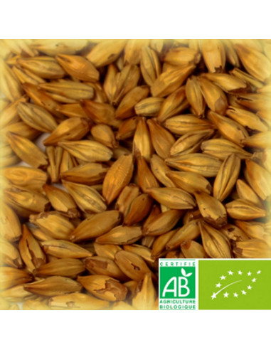 Brasser sa propre bière : Malt château cara gold biologique 120 EBC - 25kg - MC120BIOS25