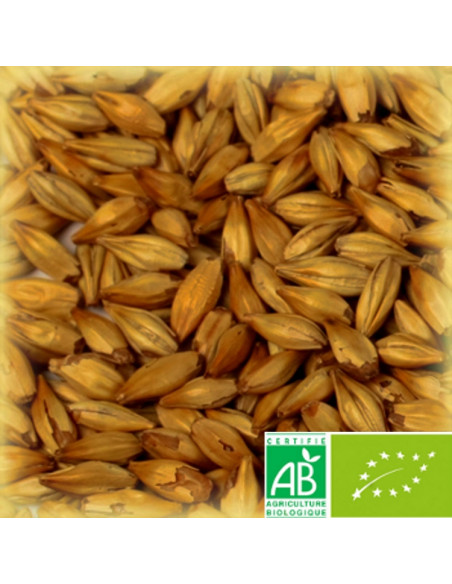 Brasser sa propre bière : Malt château cara gold biologique 120 EBC - 25kg - MC120BIOS25