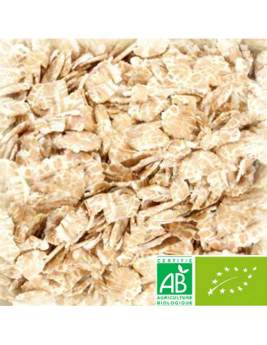 Brasser sa propre bière : Malt Château Chit Barley Biologique Flakes (Orge flocons bio) 3–7 EBC - 20kg - MCHFLORBIOS2