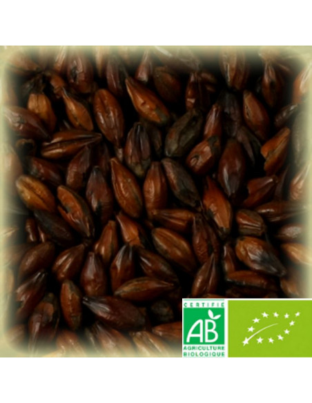 Brasser sa propre bière : Malt Château Chocolat Biologique 900 EBC - 25kg - MT900BIOS25