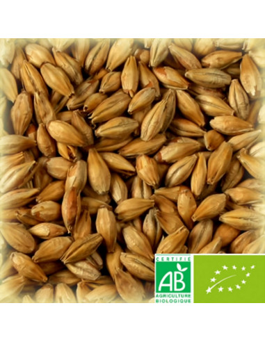 Brasser sa propre bière : CHÂTEAU MUNICH LIGHT NATURE 15 EBC