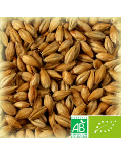 Brasser sa propre bière : Malt Château Munich Biologique 25 EBC - MM25BIOS25