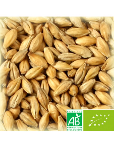 Brasser sa propre bière : Malt pilsen biologique 3.0-3.5 EBC - 25kg - MPBIOS2VA