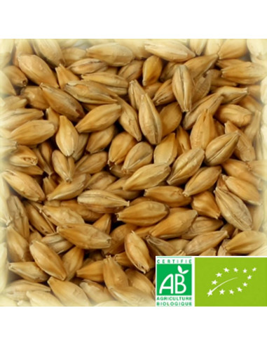 Brasser sa propre bière : Malt château vienna biologique 4.0-7.0 EBC - 25kg - MPVIENBIOS25
