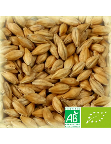 Brasser sa propre bière : Malt château vienna biologique 4.0-7.0 EBC - 25kg - MPVIENBIOS25