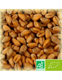 Brasser sa propre bière : Malt Château Wheat Blanc Biologique (froment bio) 3.5-5.0 EBC - MFBIOS25