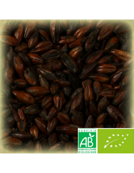 Brasser sa propre bière : Malt Roasted Barley Biologique 1000-1400 EBC - 25kg - ORGTORBIOS25
