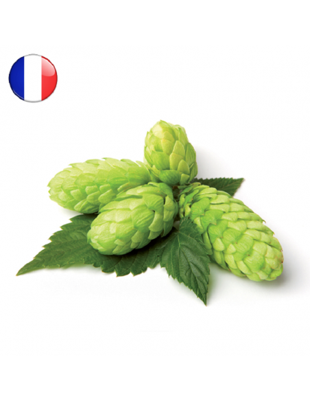 Brasser sa propre bière : Fuggle en cône (FR) 2025 - 250 gr - FUGG-CONE Brasser sa propre bière : Fuggle en cône (FR) 2025 - 250 gr - FUGG-CONE