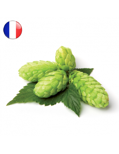 Brasser sa propre bière : Target en cône (FR) 2024 - 250 gr - TARG-CONE