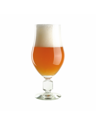 Brasser sa propre bière : Kit à bière BREWFERM Wheat Tripel 9 l - 056.085.4 Brasser sa propre bière : Kit à bière BREWFERM Wheat Tripel 9 l - 056.085.4