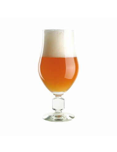Brasser sa propre bière : Kit à bière BREWFERM Wheat Tripel 9 l - 056.085.4