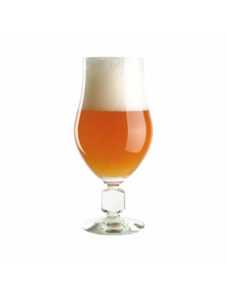 Brasser sa propre bière : Kit à bière BREWFERM Wheat Tripel 9 l - 056.085.4 Brasser sa propre bière : Kit à bière BREWFERM Wheat Tripel 9 l - 056.085.4