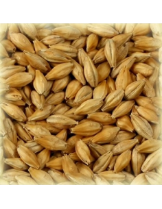 Brasser sa propre bière : Malt Vienna 4.0-7.0 EBC - MPVIENNAS2V