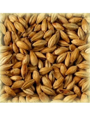 Brasser sa propre bière : Malt Munich 25 EBC - MM25S2V