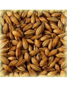 Brasser sa propre bière : Malt Mélano Light 40 EBC - MMEL40S2V
