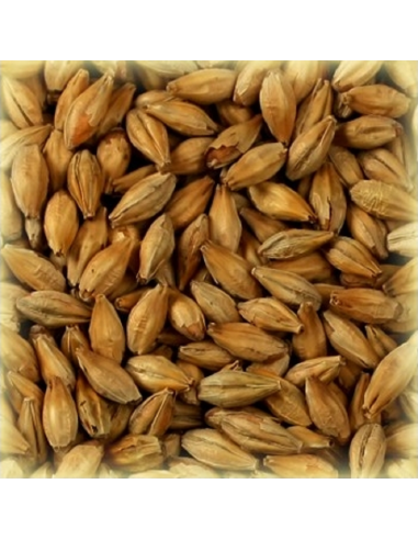 Brasser sa propre bière : Malt Abbaye® 45 EBC - MA45S2V