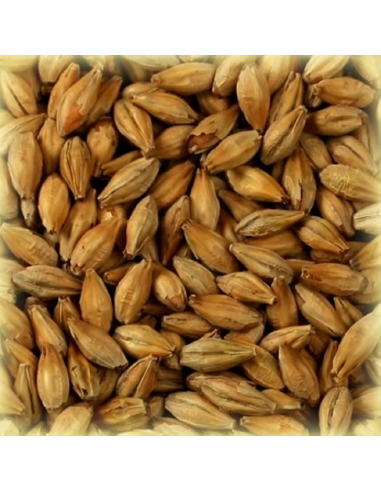 Brasser sa propre bière : Malt Biscuit® 50 EBC - MBISS2V