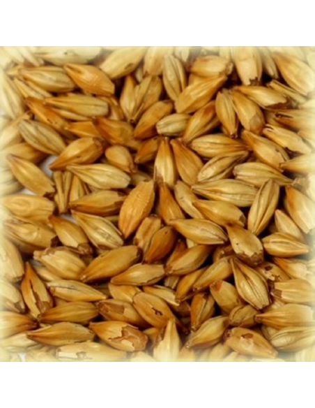 Brasser sa propre bière : Malt Cara Clair® 8 EBC - MCPILS25 Brasser sa propre bière : Malt Cara Clair® 8 EBC - MCPILS25