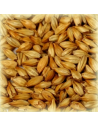 Brasser sa propre bière : Malt Cara Blond® 20 EBC - MC20S2V