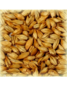 Brasser sa propre bière : Malt Cara Blond® 20 EBC - MC20S2V