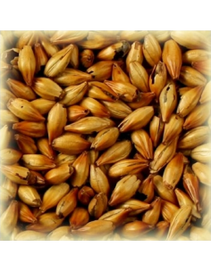Brasser sa propre bière : Malt Cara Ruby® 50 EBC - MC50S2V