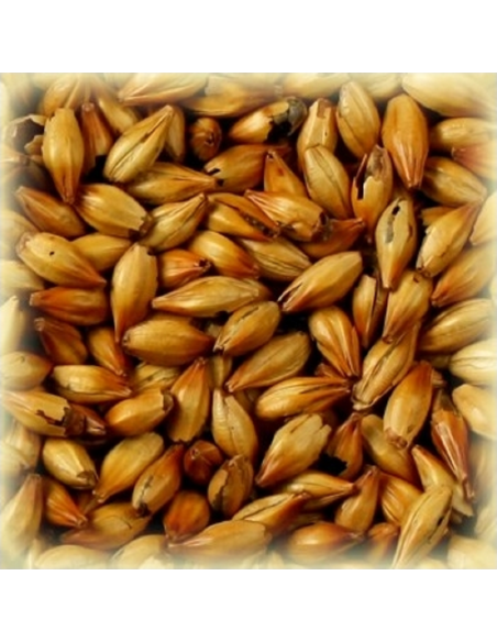 Brasser sa propre bière : Malt Cara Ruby® 50 EBC - MC50S2V Brasser sa propre bière : Malt Cara Ruby® 50 EBC - MC50S2V