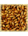 Brasser sa propre bière : Malt Cara Ruby® 50 EBC - MC50S2V