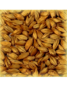 Brasser sa propre bière : Malt Cara Gold® 120 EBC - MC120S2V