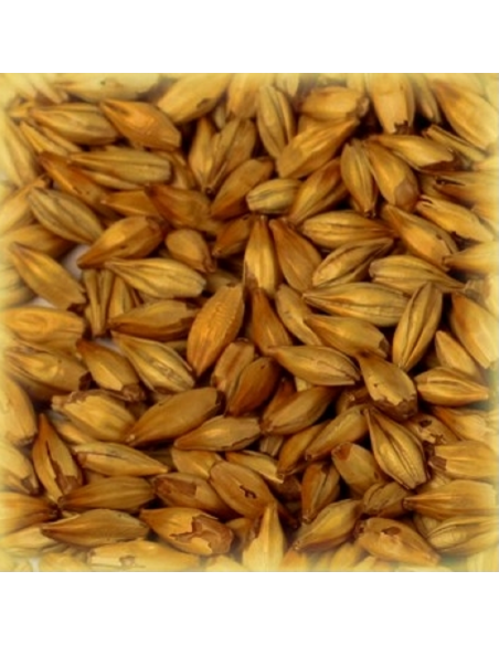 Brasser sa propre bière : Malt Cara Gold® 120 EBC - MC120S2V Brasser sa propre bière : Malt Cara Gold® 120 EBC - MC120S2V