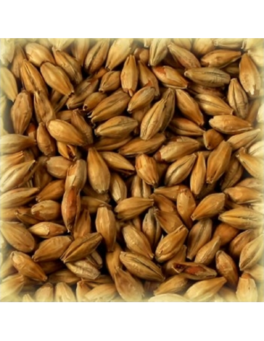 Brasser sa propre bière : Malt Arôme 100 EBC - MA100S2V
