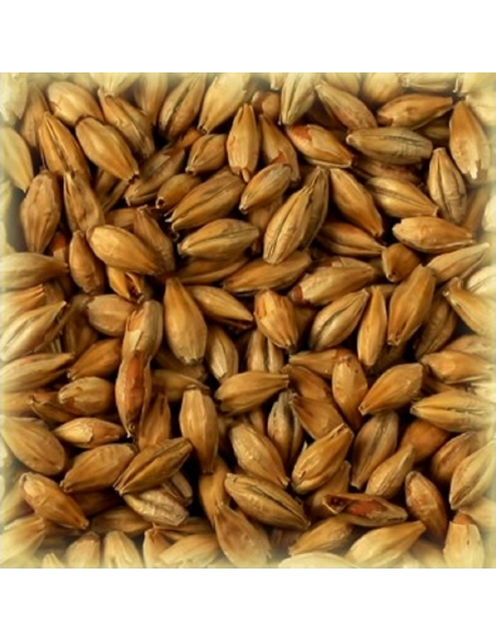 Brasser sa propre bière : Malt Arôme 100 EBC - MA100S2V