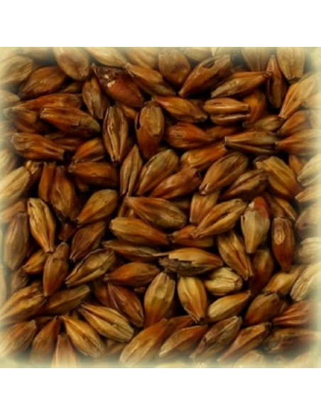 Brasser sa propre bière : Malt Crystal® 150 EBC - MA150S2V Brasser sa propre bière : Malt Crystal® 150 EBC - MA150S2V