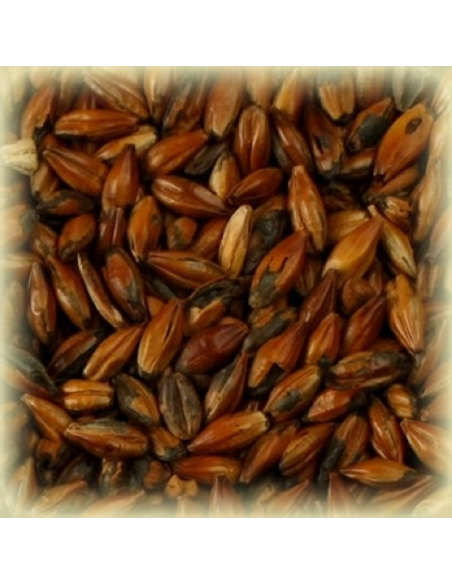 Brasser sa propre bière : Malt Café Light® 250 EBC - MCAFLS2V