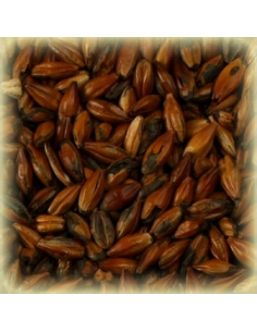 Brasser sa propre bière : Malt Café 500 EBC - MCAFES2V