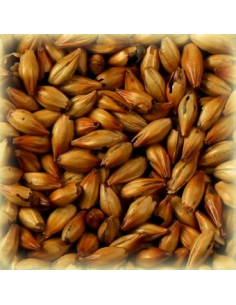 Brasser sa propre bière : Malt Spécial B® 300 EBC - MC300S2V