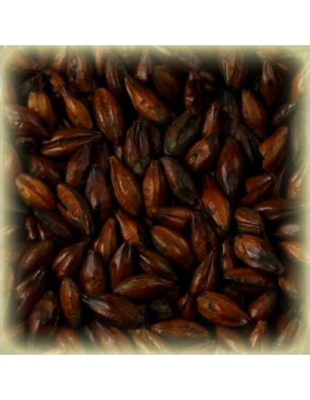 Brasser sa propre bière : Malt Chocolat 900 EBC - MT900S2V