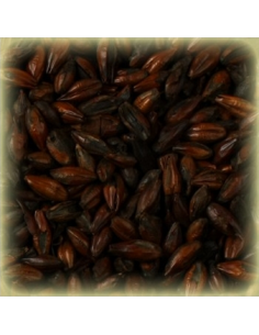 Brasser sa propre bière : Malt Black 1300 EBC - MT140S2V