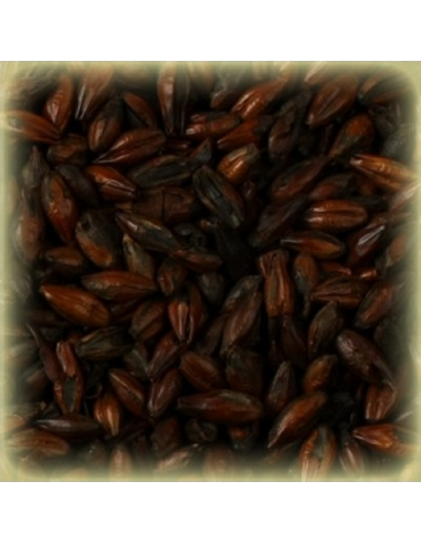 Brasser sa propre bière : Malt Black 1300 EBC - MT140S2V