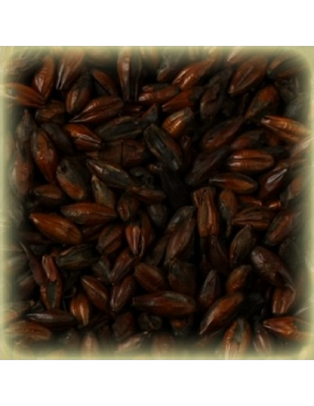 Brasser sa propre bière : Malt Black 1300 EBC - MT140S2V Brasser sa propre bière : Malt Black 1300 EBC - MT140S2V